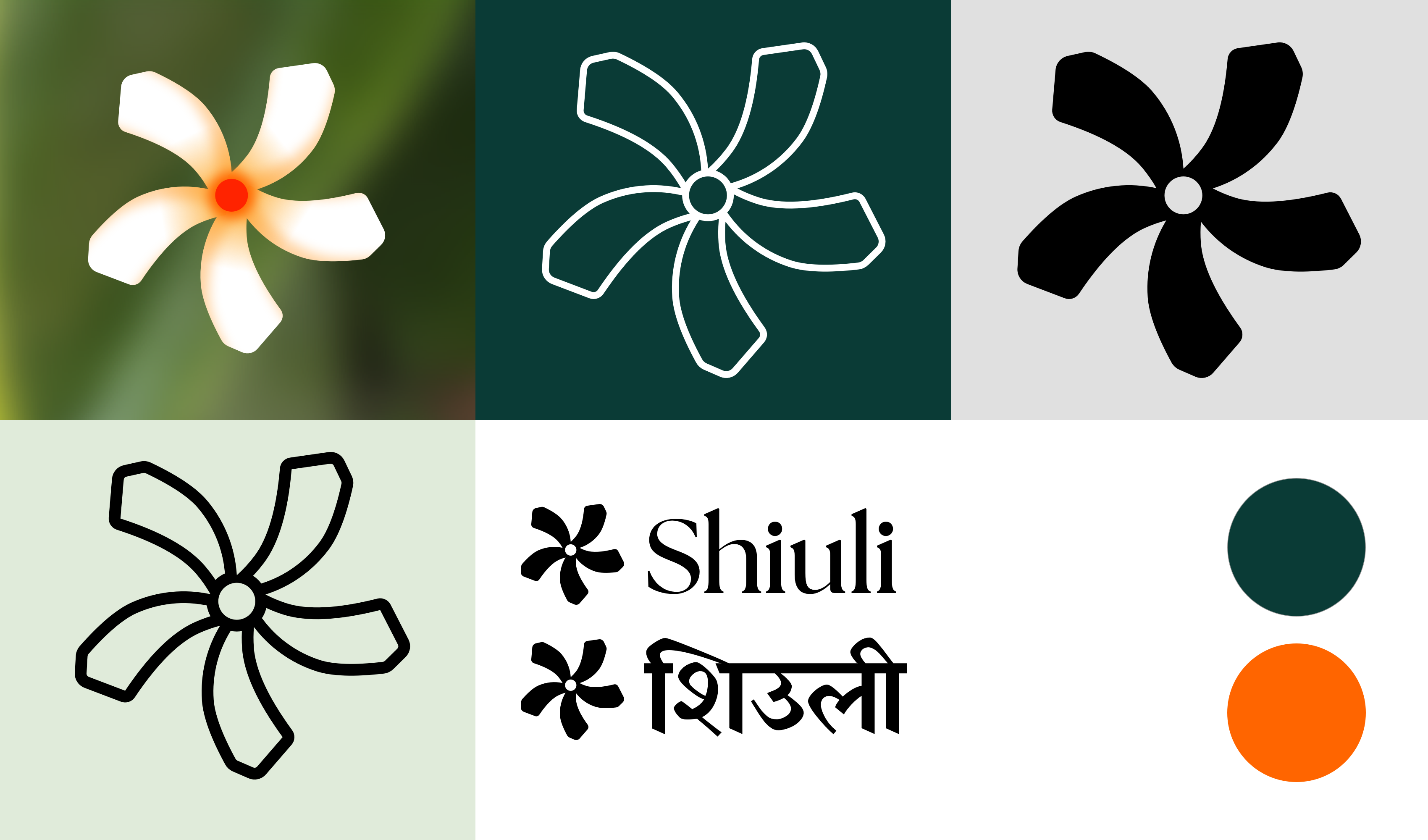 Shiuli logo variations