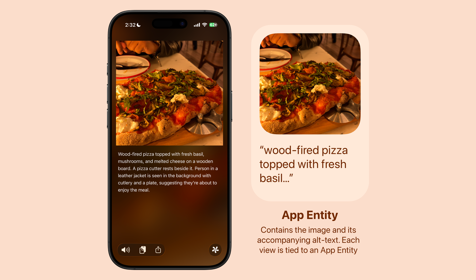 App Entity structure governing image and alt-text data
