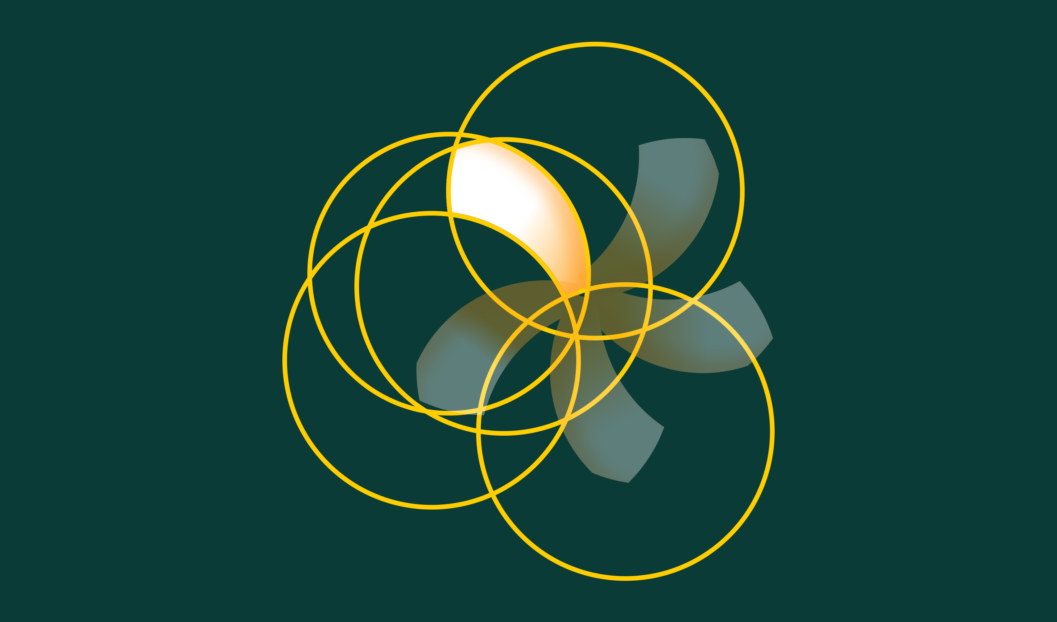 Geometric construction of the Shiuli flower logo